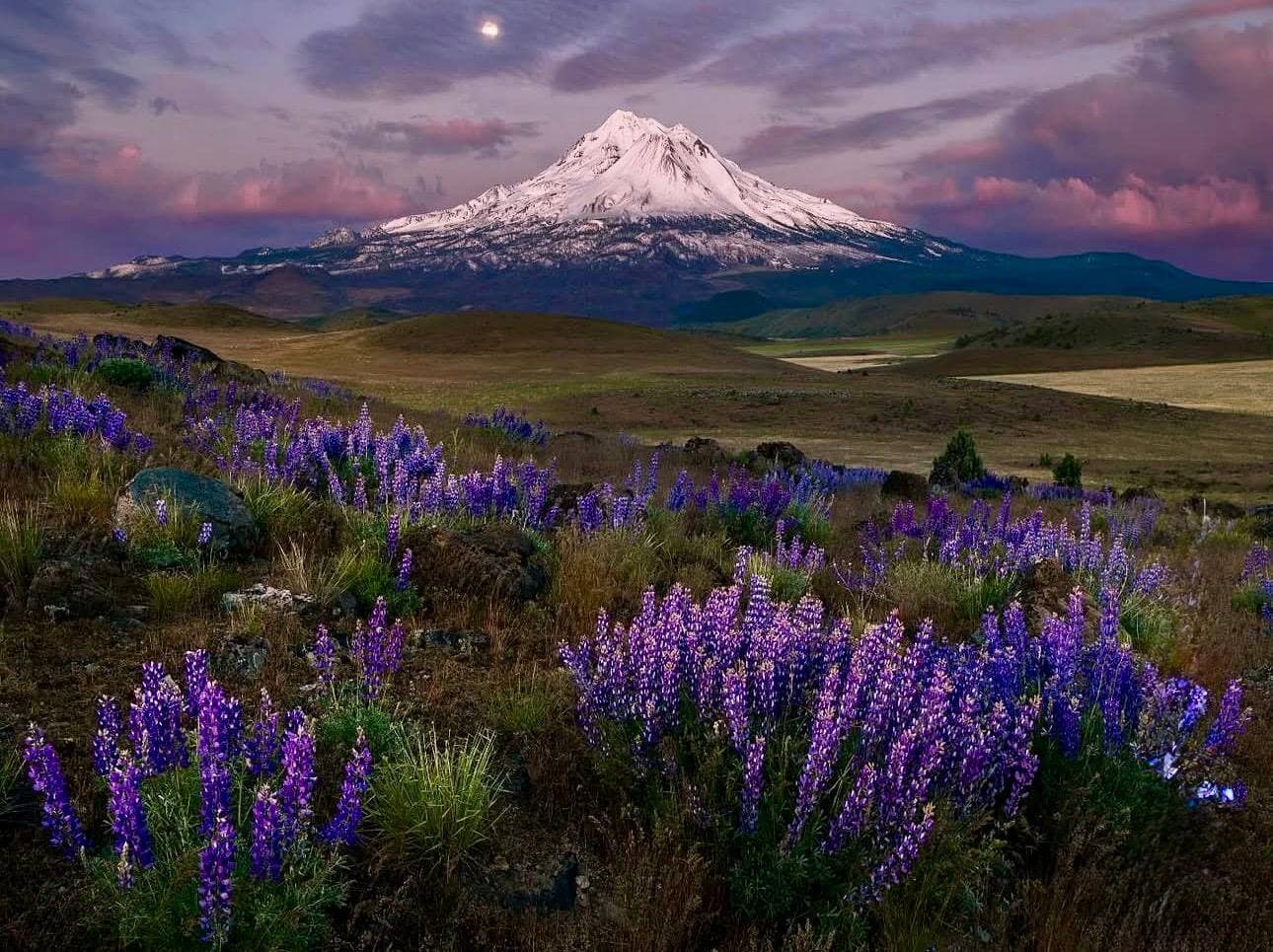 Light anchoring visualization